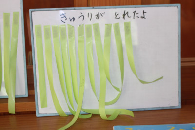 IMG_7443